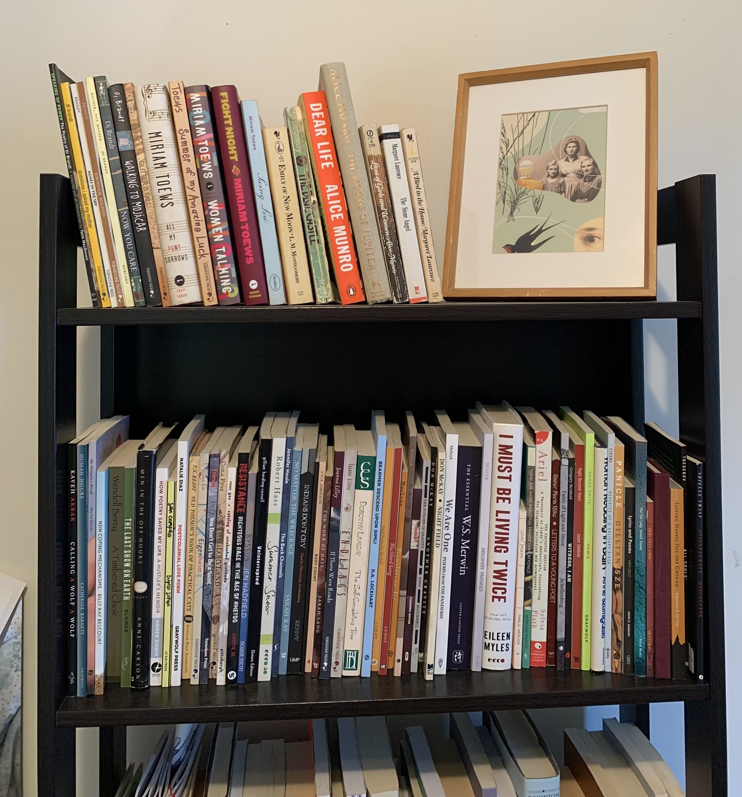 Sarah's favourite books and a framed alternative cover for Flyway created by Jonathan Dyck